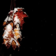 Illustration for article titled Shooting Challenge Fall Leaves Gallery 6
